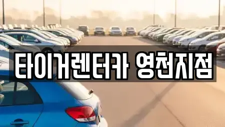 경상북도 영천시 도동 렌트카 전문 타이거렌터카 영천지점