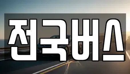 경상북도 영천시 도동 중고차 전문 전국버스