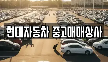 경상북도 영천시 도동 중고차 전문 현대자동차 중고매매상사