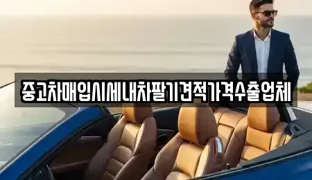 경상북도 영천시 도동 중고차매입 전문 중고차매입시세내차팔기견적가격수출업체
