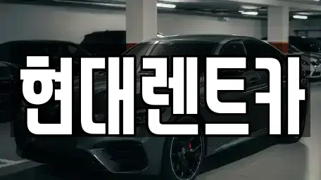 경상북도 울진군 울진읍 렌트카 전문 현대렌트카