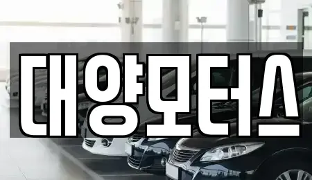 광주 광산구 광산동 중고차 전문 대양모터스