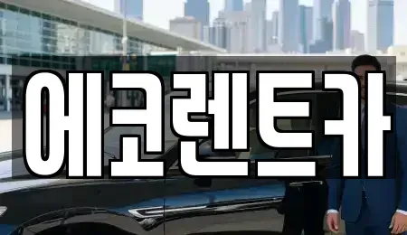 광주 광산구 오선동 렌트카 전문 에코렌트카