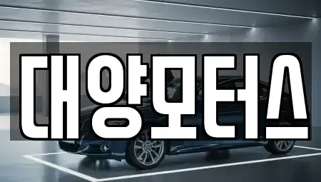 광주 광산구 오선동 중고차 전문 대양모터스