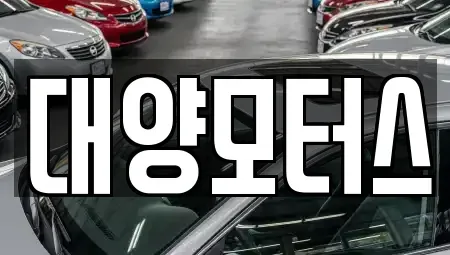 광주 광산구 용봉동 중고차 전문 대양모터스
