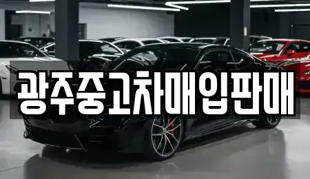 광주 광산구 장록동 중고차 전문 광주중고차매입판매