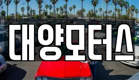 광주 광산구 장록동 중고차 전문 대양모터스