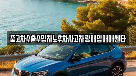 광주 광산구 장록동 중고차매입 전문 중고차수출수입차노후차사고차량매입매매센타