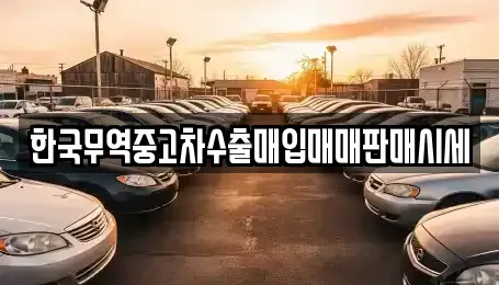 광주 광산구 장록동 중고차매입 전문 한국무역중고차수출매입매매판매시세