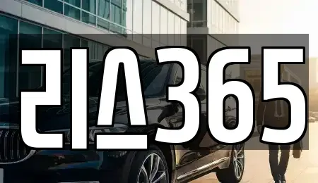 광주 남구 봉선동 장기렌트카 전문 리스365