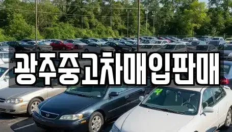 광주 남구 서동 중고차매입 전문 광주중고차매입판매