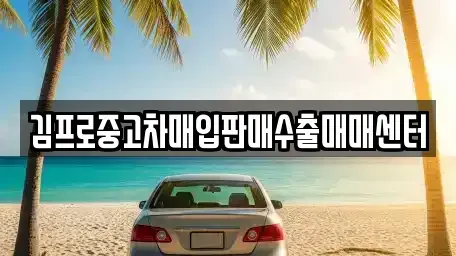 광주 북구 우산동 중고차매매 전문 김프로중고차매입판매수출매매센터