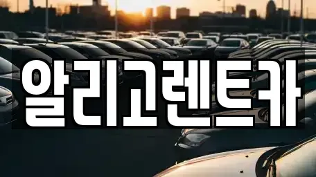 광주 서구 치평동 장기렌트카 전문 알리고렌트카
