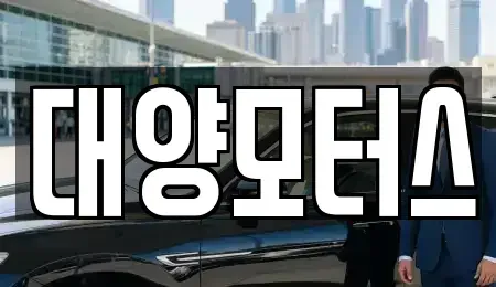 광주 서구 치평동 중고차 전문 대양모터스