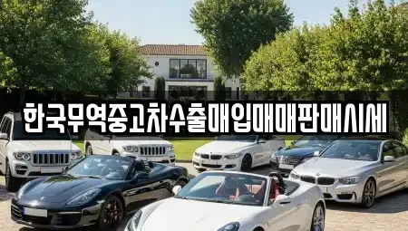 광주 서구 치평동 중고차매입 전문 한국무역중고차수출매입매매판매시세