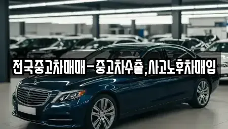 광주광역시 남구 사동 중고차 전문 전국중고차매매-중고차수출,사고노후차매입