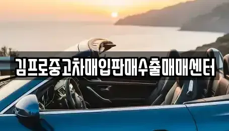 광주광역시 동구 금남로1가 중고차 전문 김프로중고차매입판매수출매매센터