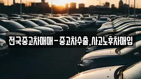 광주광역시 동구 금남로1가 중고차 전문 전국중고차매매-중고차수출,사고노후차매입