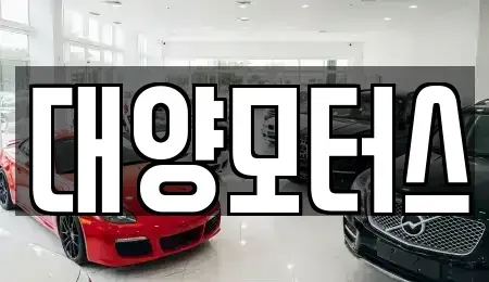 광주광역시 동구 금남로1가 중고차매매 전문 대양모터스