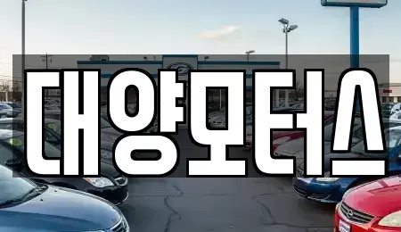 광주광역시 동구 대의동 중고차 전문 대양모터스