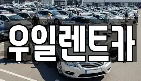 광주광역시 서구 치평동 렌트카 전문 우일렌트카