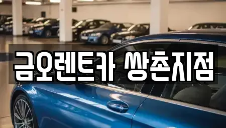 광주광역시 서구 치평동 장기렌트카 전문 금오렌트카 쌍촌지점