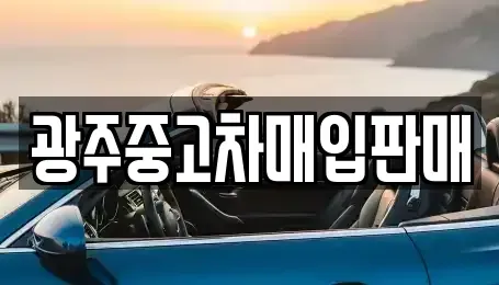 광주광역시 서구 치평동 중고차매매 전문 광주중고차매입판매