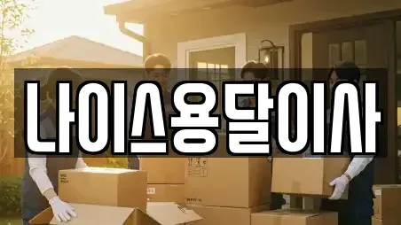 나이스용달이사
