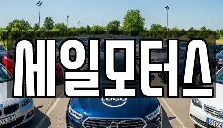 대구 달서구 감삼동 중고차 전문 세일모터스