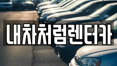 대구 동구 검사동 렌트카 전문 내차처럼렌터카