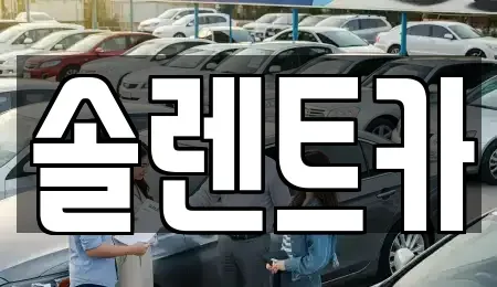 대구 동구 검사동 렌트카 전문 솔렌트카
