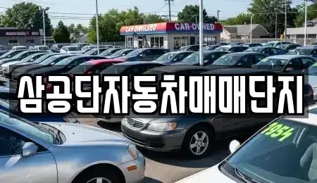 대구 북구 노원동3가 중고차매매 전문 삼공단자동차매매단지