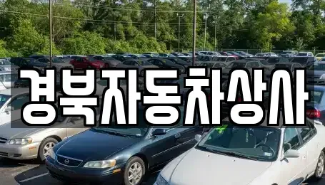 대구 북구 팔달동 중고차 전문 경북자동차상사