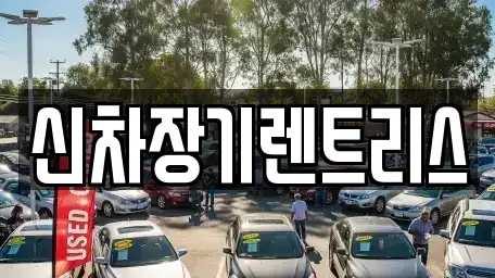 대구 서구 장기렌트카 전문 신차장기렌트리스