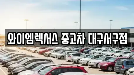 대구 서구 중고차매매 전문 와이엠렉서스 중고차 대구서구점
