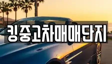 대구 서구 중고차매매 전문 킹중고차매매단지