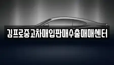 대구 서구 중고차매입 전문 김프로중고차매입판매수출매매센터