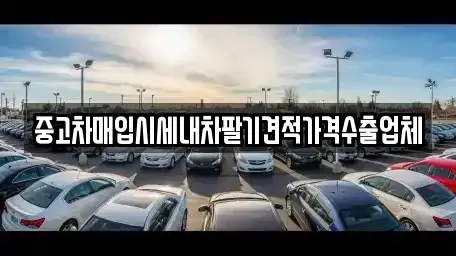 대구 서구 중고차매입 전문 중고차매입시세내차팔기견적가격수출업체