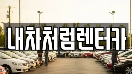 대구 수성구 파동 렌트카 전문 내차처럼렌터카