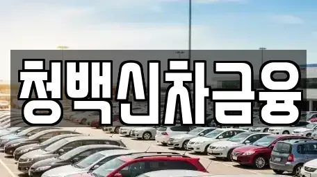대구 수성구 파동 렌트카 전문 청백신차금융