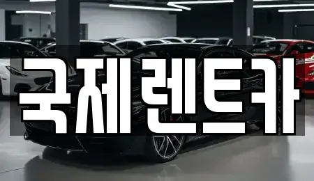 대구 수성구 파동 장기렌트카 전문 국제렌트카