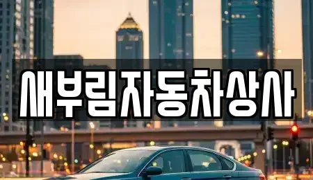 대구 수성구 파동 중고차매매 전문 새부림자동차상사
