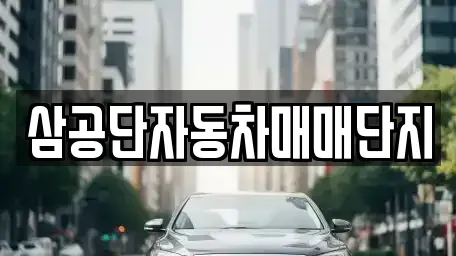 대구광역시 북구 노원동2가 중고차매매 전문 삼공단자동차매매단지