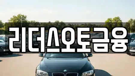 대구광역시 북구 침산동 장기렌트카 전문 리더스오토금융