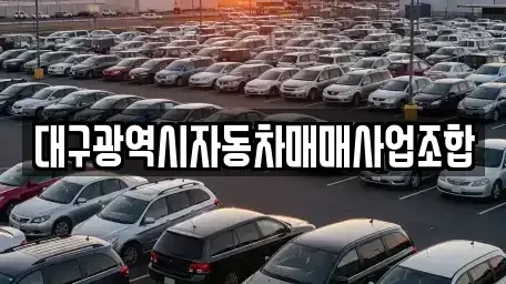 대구광역시 북구 침산동 중고차 전문 대구광역시자동차매매사업조합