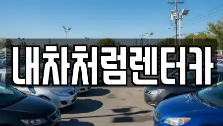 대구광역시 북구 팔달동 렌트카 전문 내차처럼렌터카