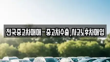 대구광역시 북구 팔달동 중고차매입 전문 전국중고차매매-중고차수출,사고노후차매입