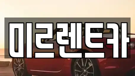 대구광역시 수성구 수성동2가 렌트카 전문 미르렌트카