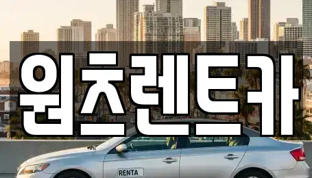 대구광역시 수성구 수성동2가 렌트카 전문 원츠렌트카