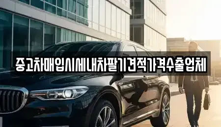 대구광역시 수성구 수성동2가 중고차매입 전문 중고차매입시세내차팔기견적가격수출업체
